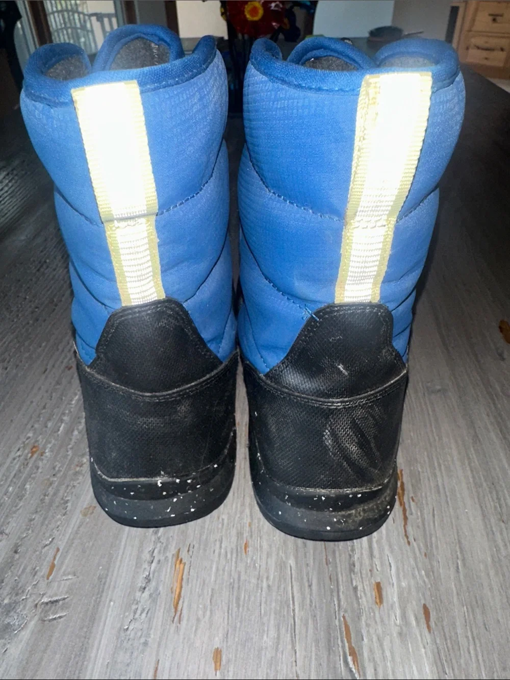 Bogs Skyline Snowcata Kids Winter Boots